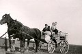Landwirtschaft-1938-0050.jpg  Peter Ströh mit Pferd und Wagen, Osteroffenbülldeich  Nichte Elke und Neffe Rolf Ströh