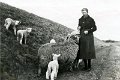 Landwirtschaft-1938-0051.jpg  Frieda Martens geb. Lorenzen am Deich nach Schiedhörn