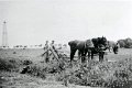 Landwirtschaft-1939-0055.jpg  Hermann Cornils und Sohn Boy beim Mähen