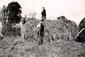 Landwirtschaft-1939-0070.jpg  Eduard und Magna Hase bei der Heuernte am Rethdeich