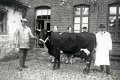 Landwirtschaft-1939-0071.jpg  links Viehtreiber Johannes Nissen aus Oldenswort in Husum