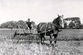 Landwirtschaft-1940-0057.jpg  Erich Reimers auf der Sammelmaschine, 1940 bei Fritz Lorenzen