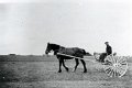 Landwirtschaft-1941-0056.jpg  Hermann Cornils beim Heu sammeln