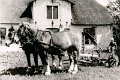 Landwirtschaft-1956-0049.jpg  Pferde mit Mähmaschine vor dem Lohgerberhof, Schlapphörn