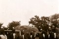 Ringreiter-1951-0844.jpg  Ringreiterfest