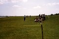 BosselnGH 1983 0233.jpg  Bosseln zwischen Hemmerdeich und Altendeich, Süderdeich am Eiderdeich Hemmerdeich