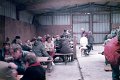 BosselnGH 1984 0265.jpg  Preisbosseln am Deich im Altendeich  in der Halle von Jürgen Jebe Rothenspieker