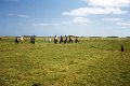 BosselnNF 1983 0320.jpg  Bosseln der Frauen am Robbenberg