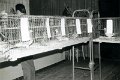 Tauben 1976 0146.jpg  Ausstellung im Friesenhof  Gastwirt Ole Asmussen  1.Preis Otto Reigardt  1. Preis Jugend Gebrüder Ponath